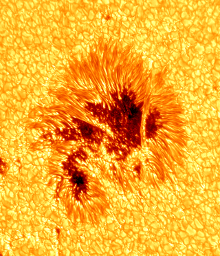 Illustration for article titled Behold the Glowing Glory of a Sunspot In Unprecedented Detail